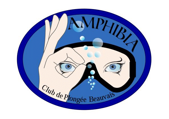 logo amphibia